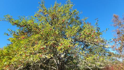 173 Leighton Point Road Pembroke ME 04666