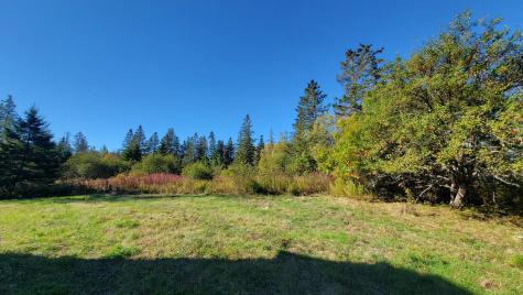 173 Leighton Point Road Pembroke ME 04666