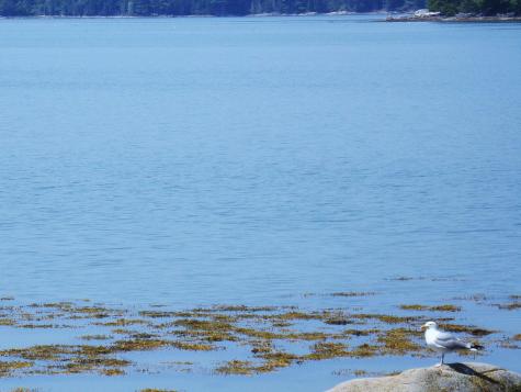 73 Taunton Bay Shores Road Franklin ME 04634