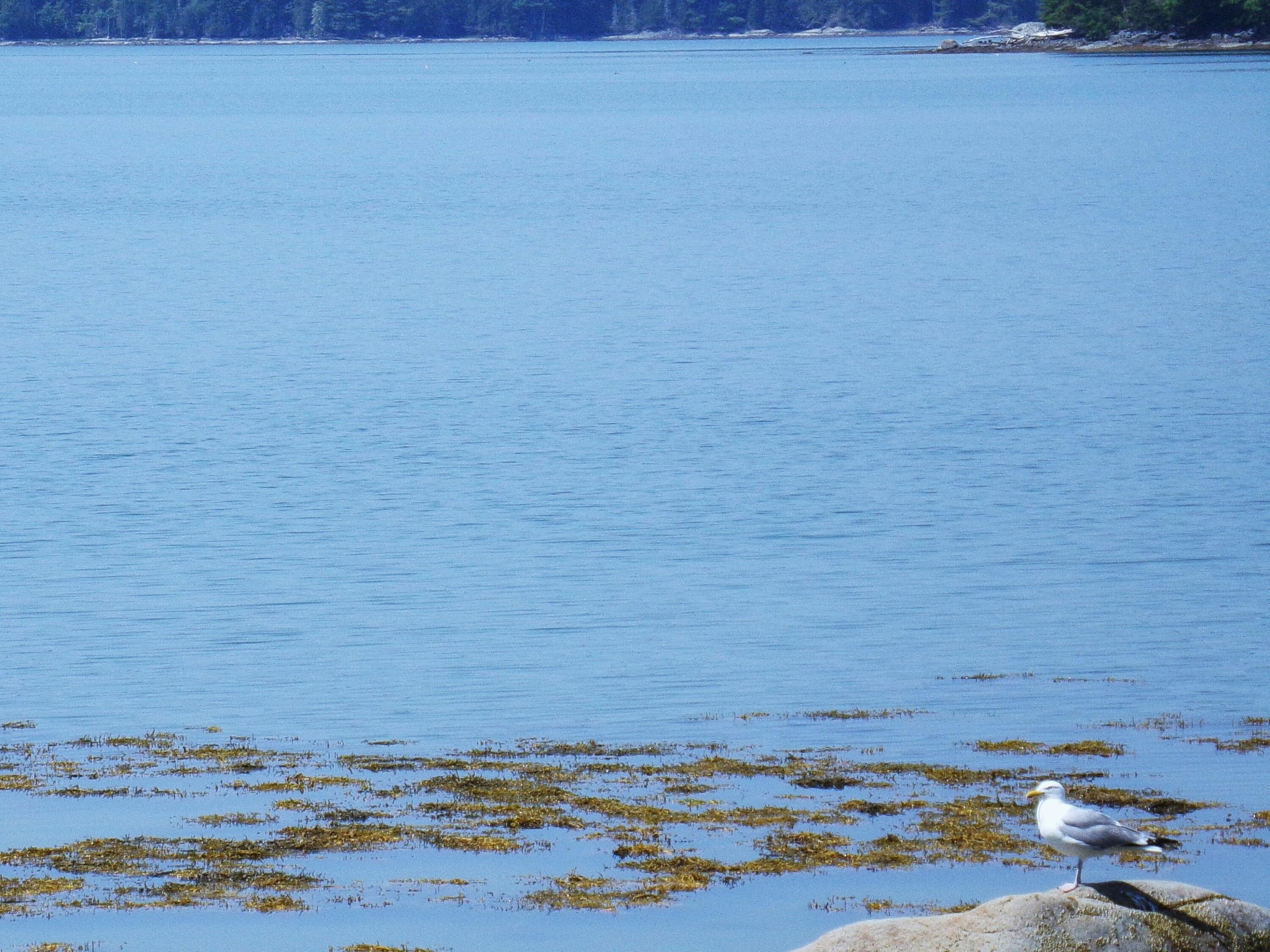 73 Taunton Bay Shores Road Franklin ME 04634