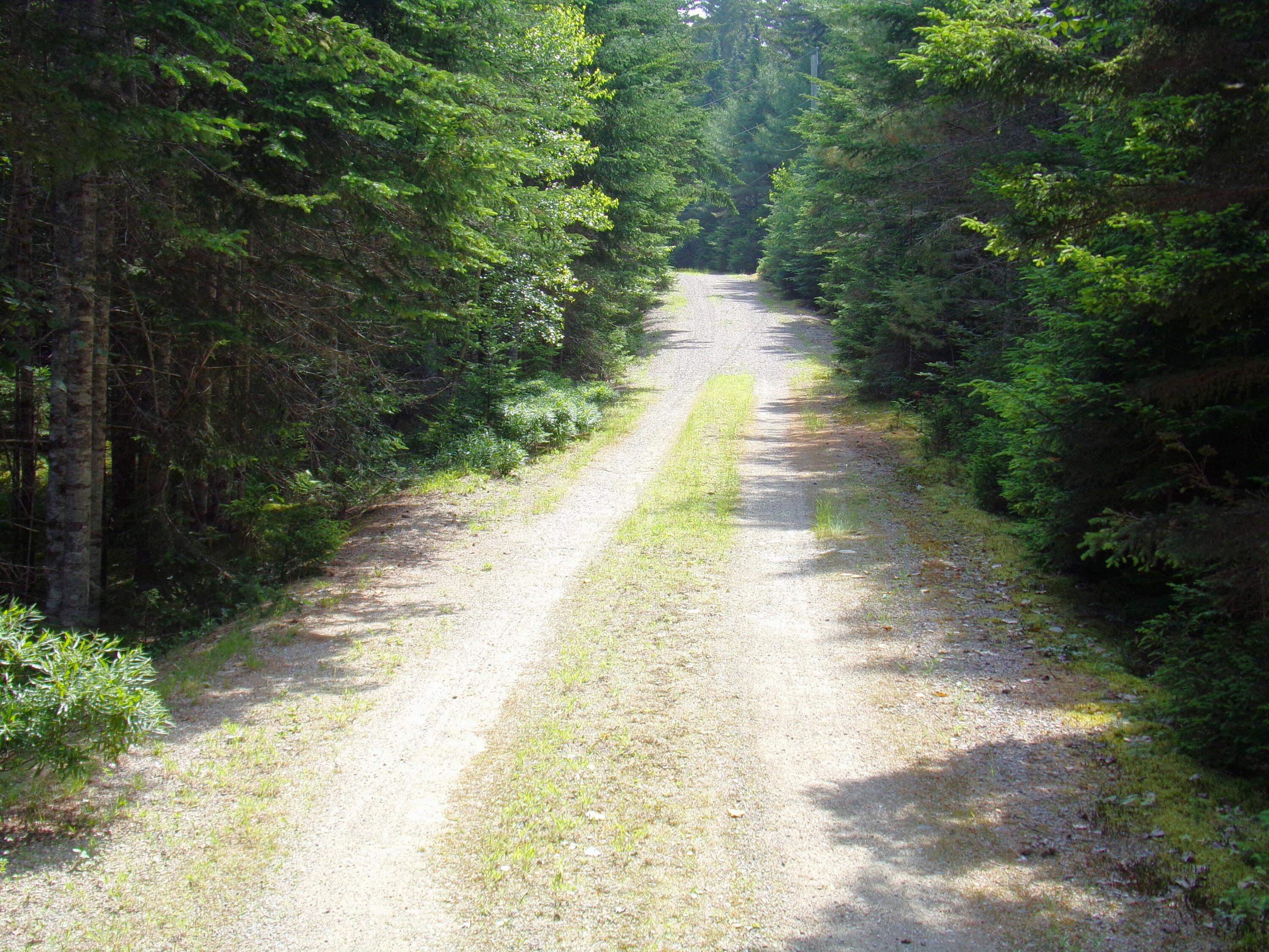73 Taunton Bay Shores Road Franklin ME 04634