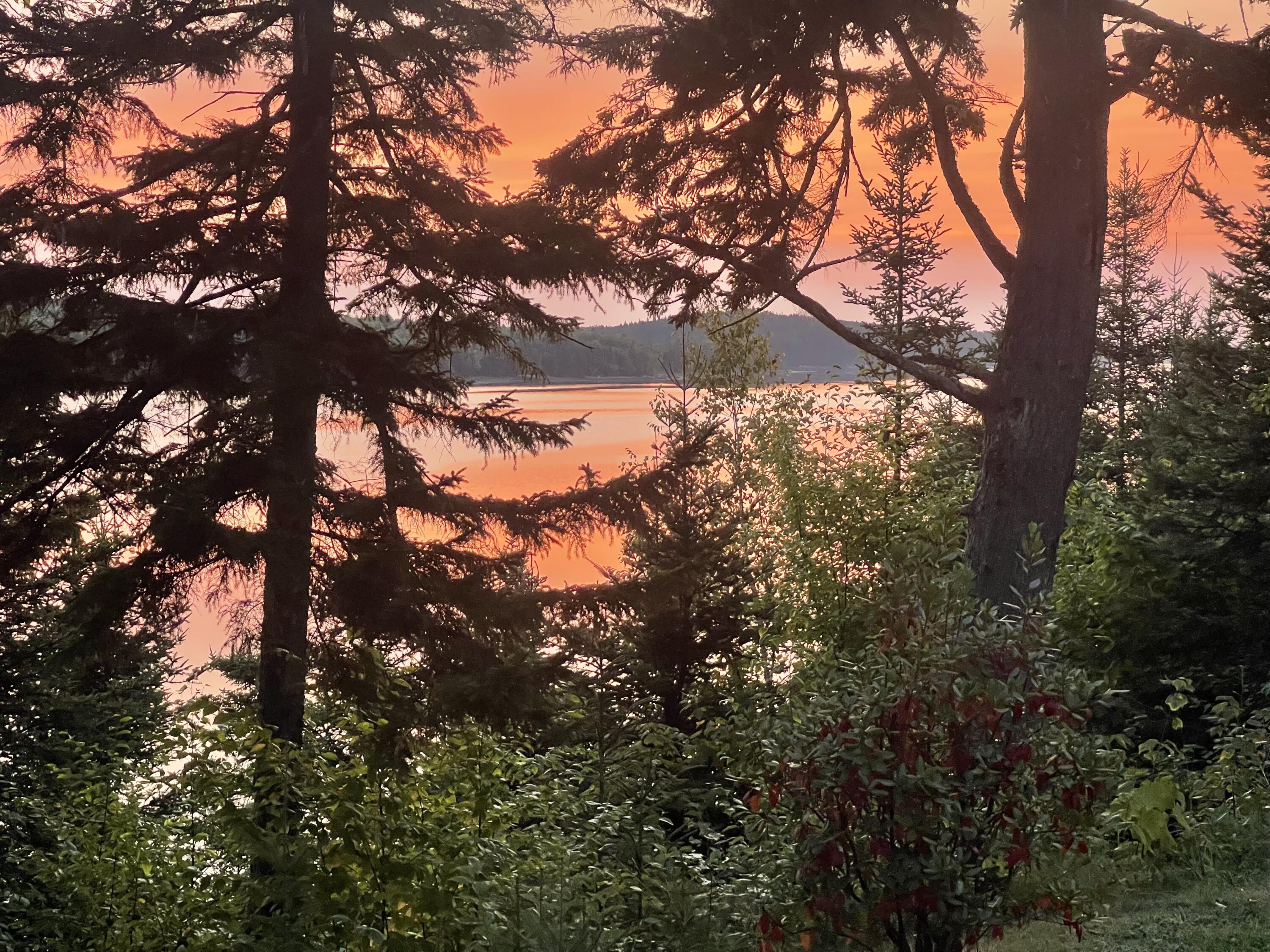 4 Landis Strip Jonesport ME 04649