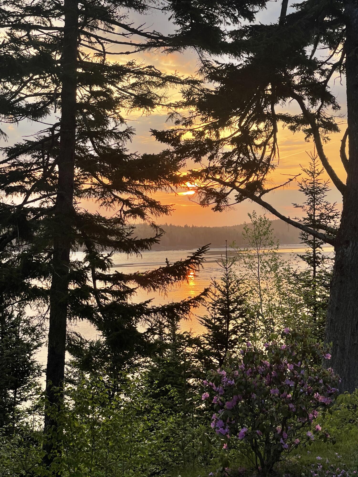 4 Landis Strip Jonesport ME 04649