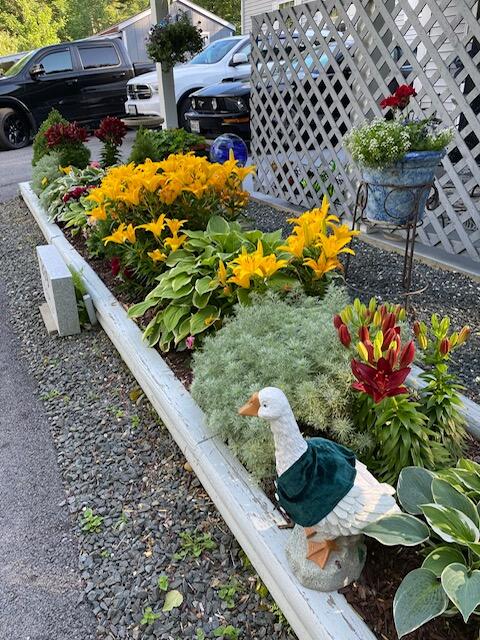 269 E Side Drive Verona Island ME 04416