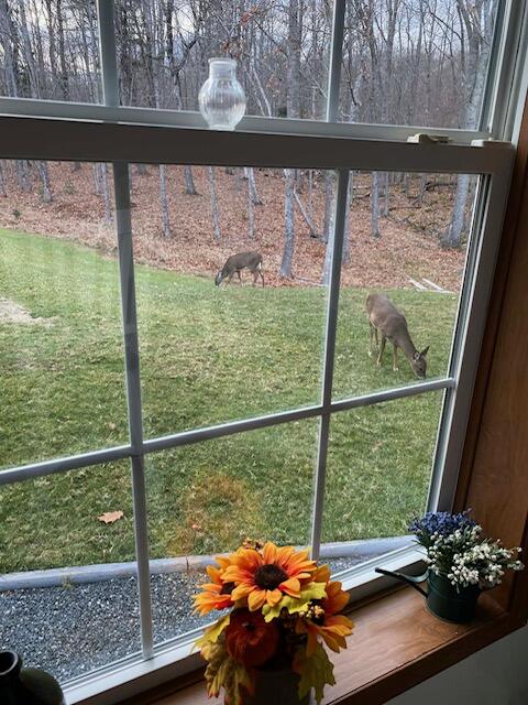 269 E Side Drive Verona Island ME 04416