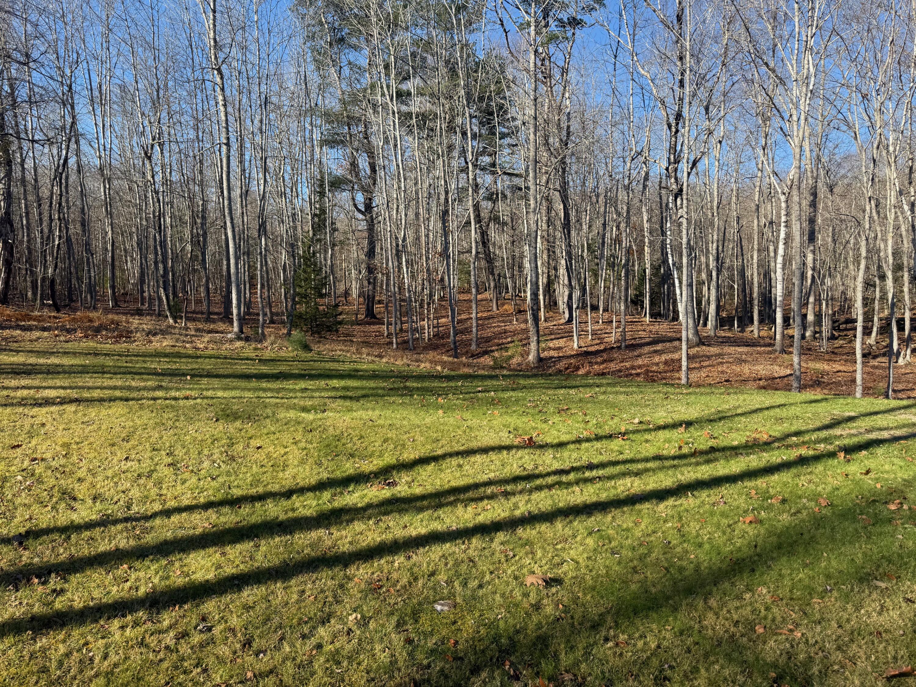 269 E Side Drive Verona Island ME 04416