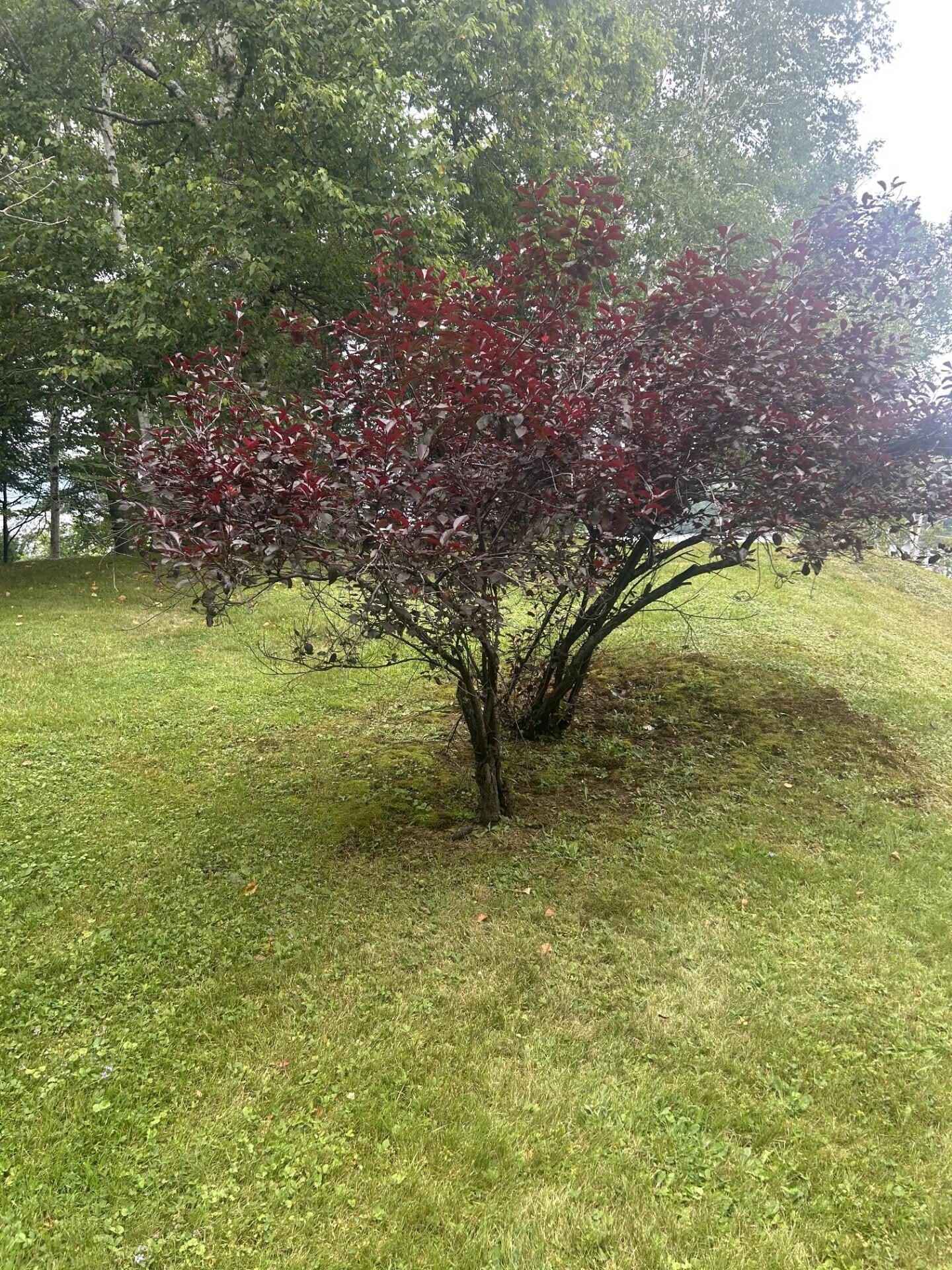 7 Preston Road Wilton ME 04294