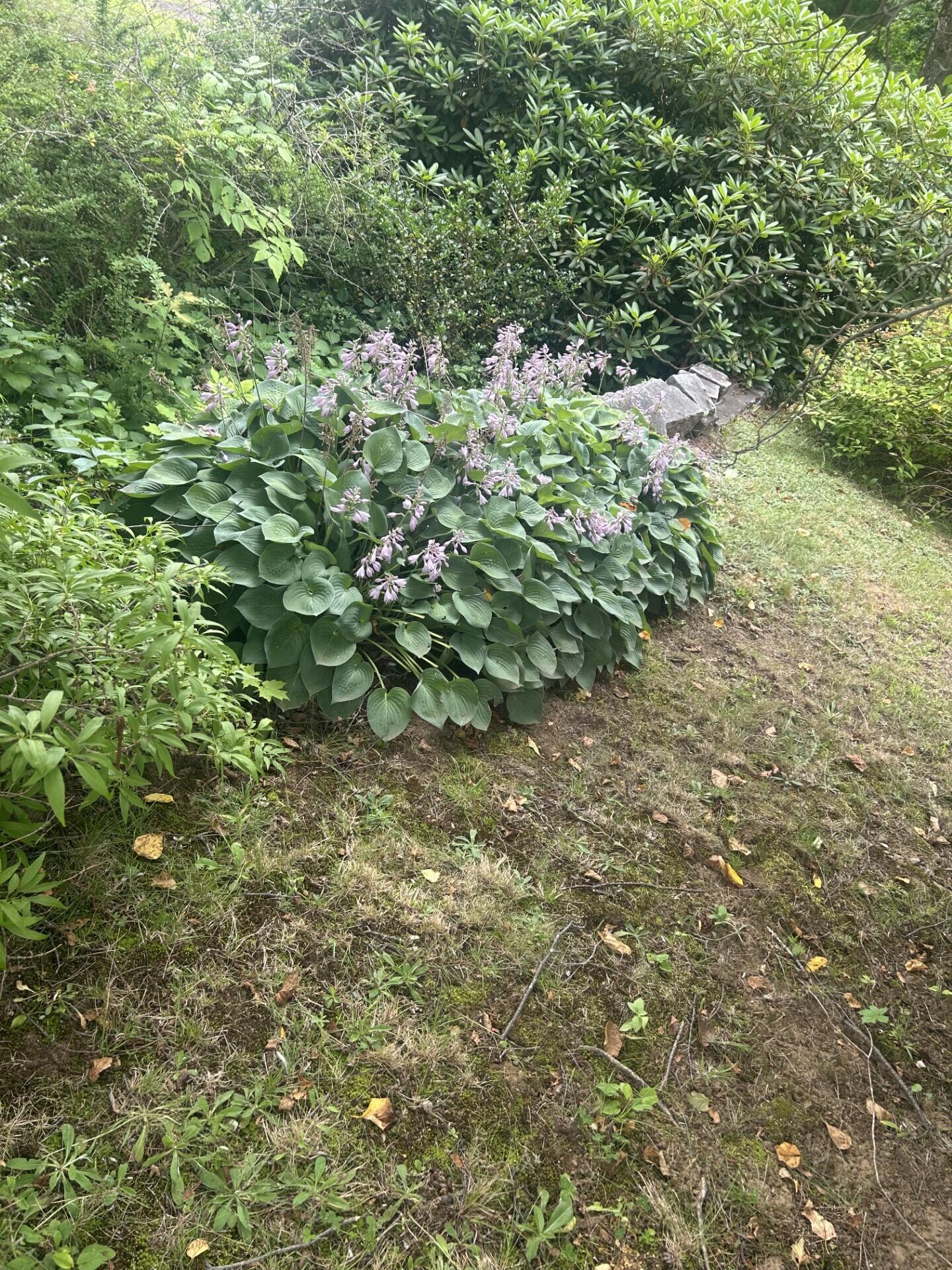 7 Preston Road Wilton ME 04294