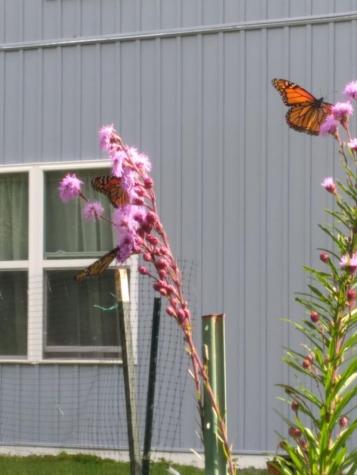 6 Cos Cob Avenue Lamoine ME 04605