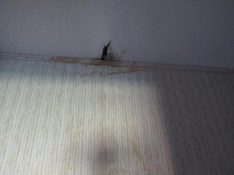 11 Shady Lane Canaan ME 04924