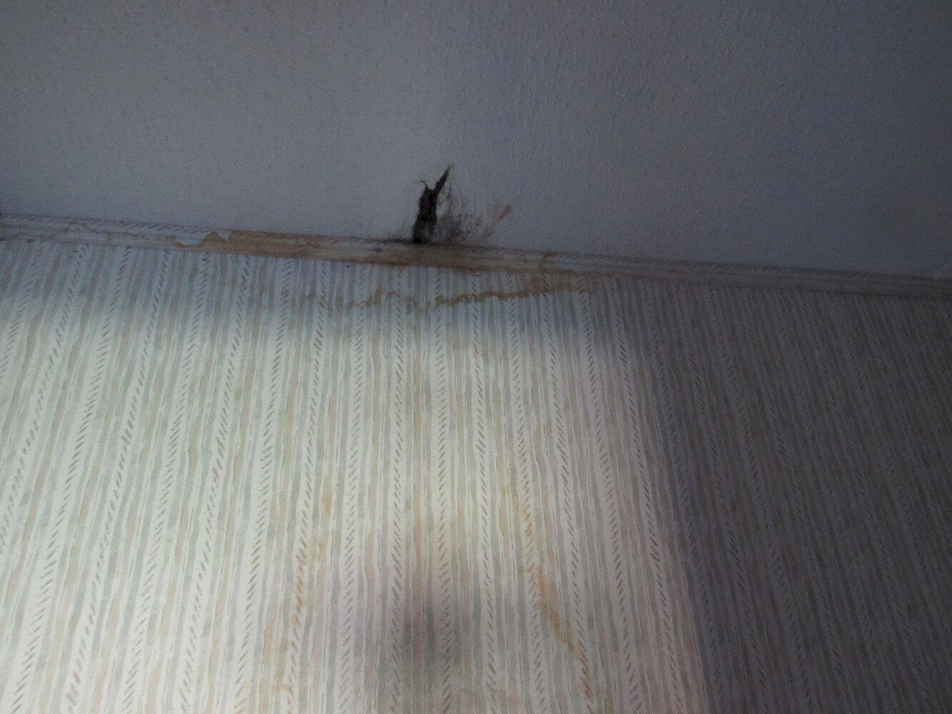 11 Shady Lane Canaan ME 04924