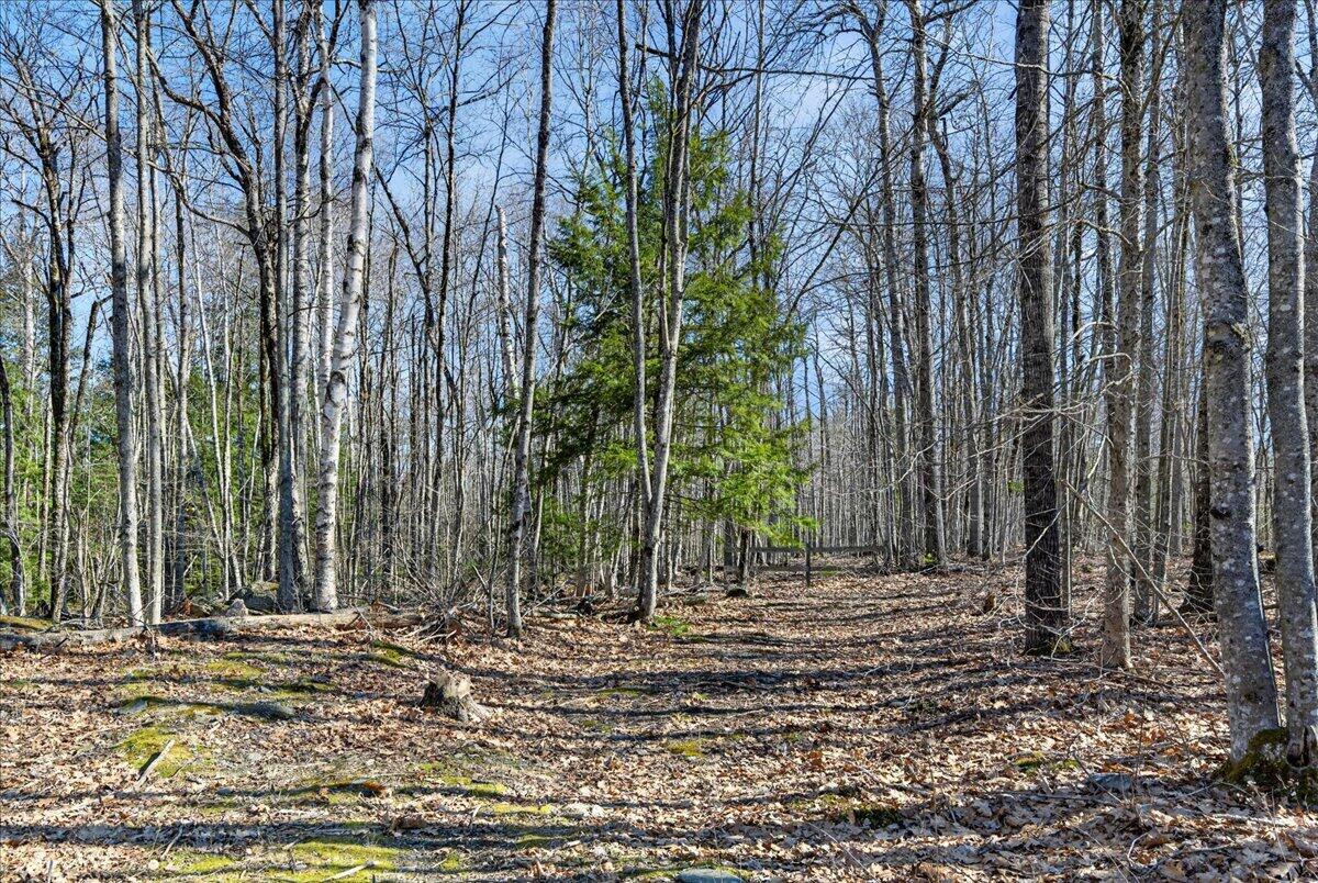 153 Stillwater Avenue Orono ME 04473