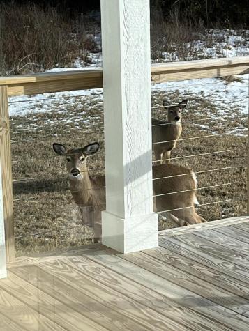 2 & 4 Sunrise Drive Eastport ME 04631