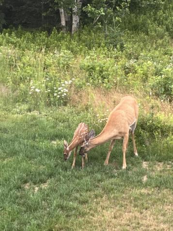 2 & 4 Sunrise Drive Eastport ME 04631