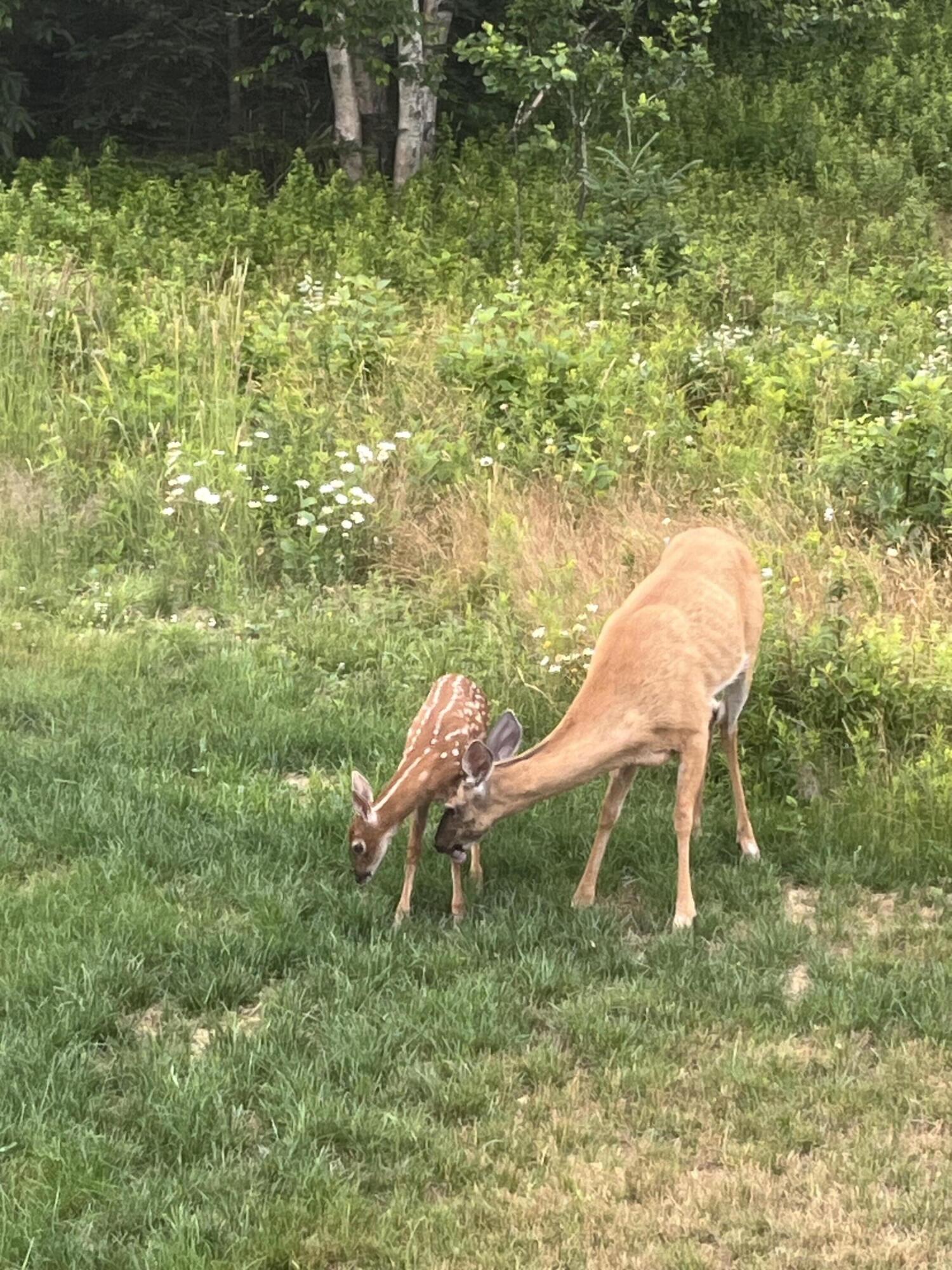 2 & 4 Sunrise Drive Eastport ME 04631