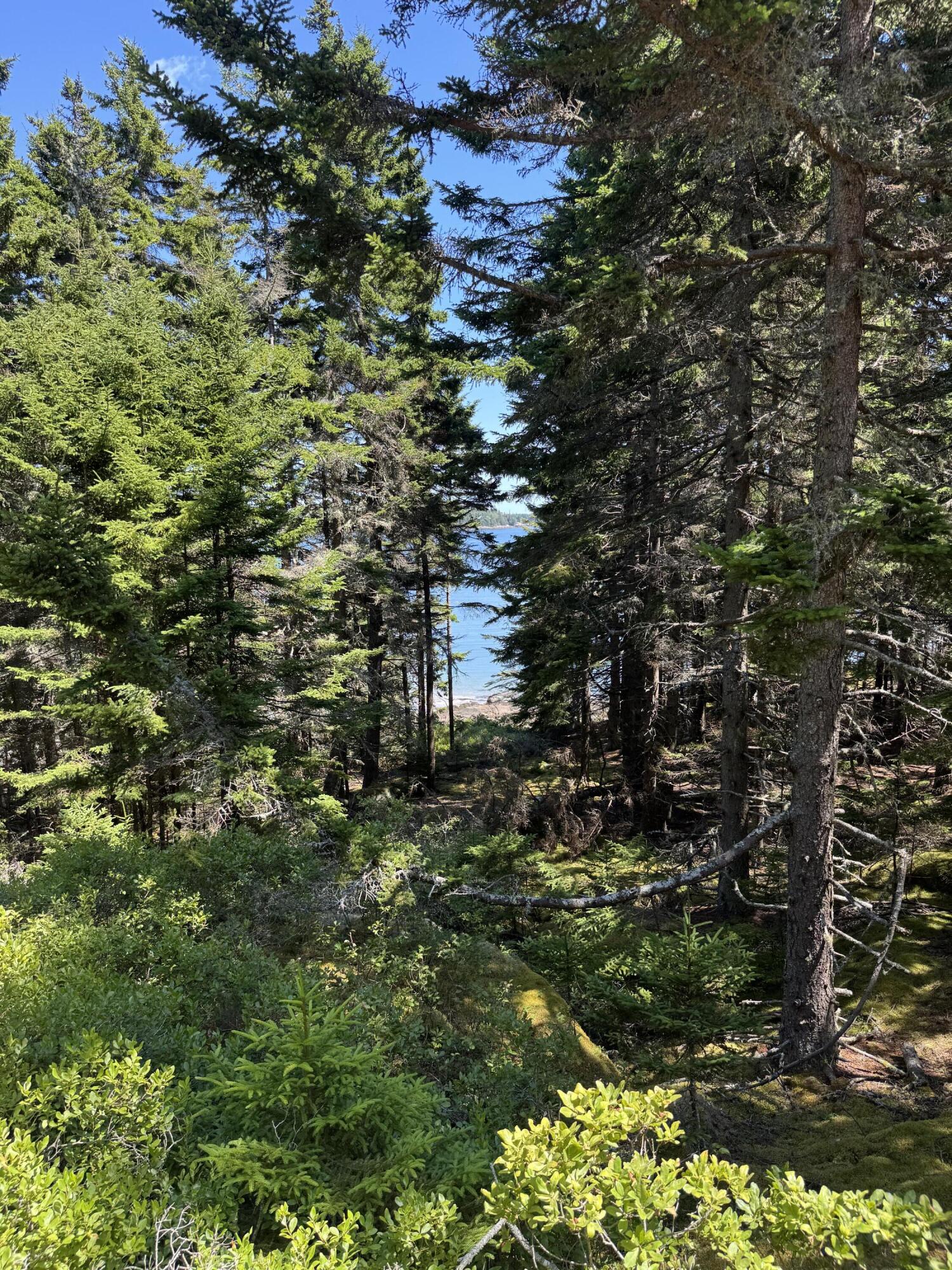 90 Greens Island Vinalhaven ME 04863