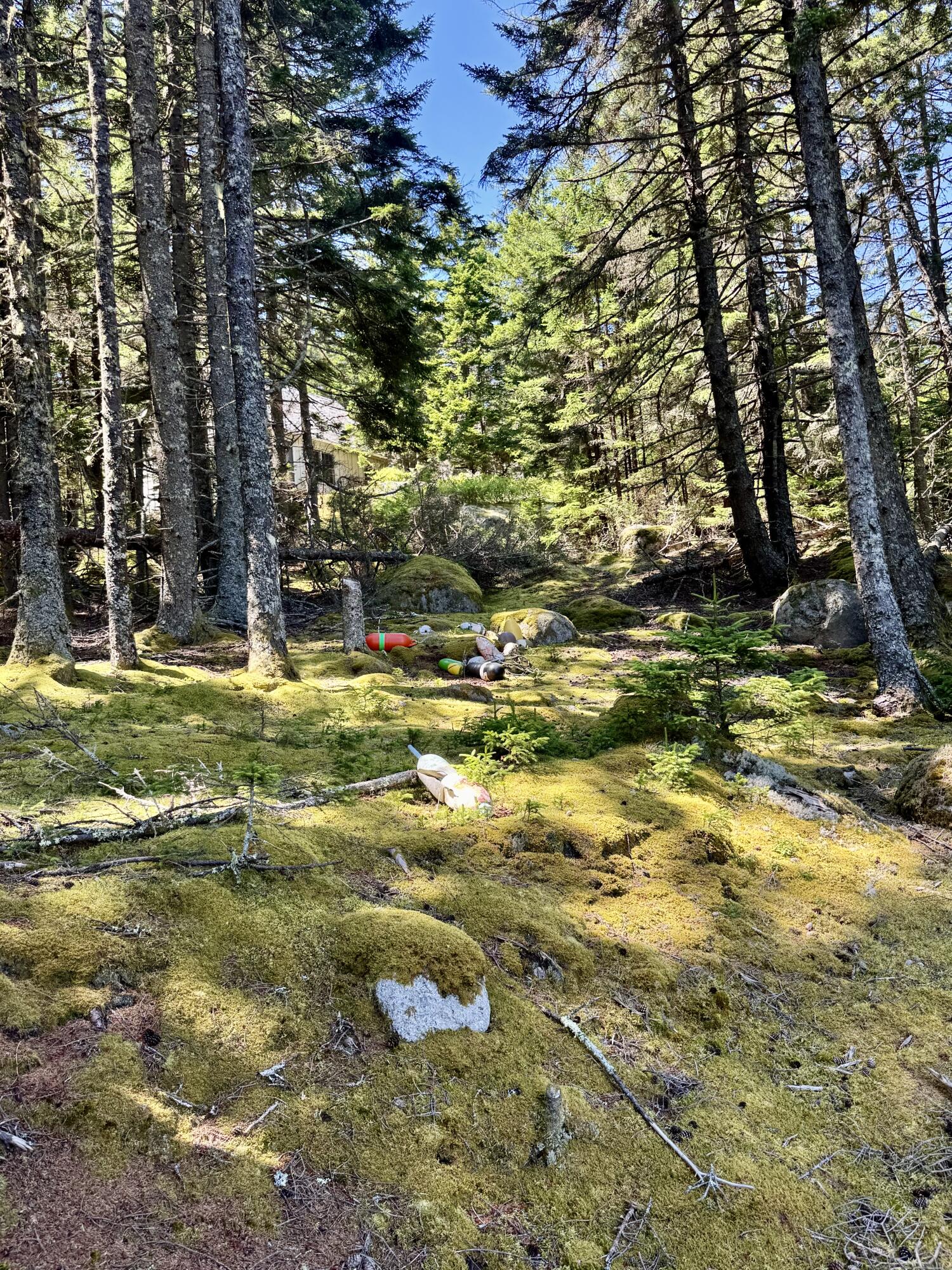 90 Greens Island Vinalhaven ME 04863