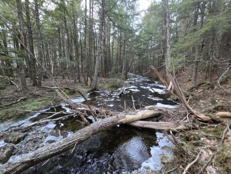 58 Beech Hill Pond Road Dedham ME 04429