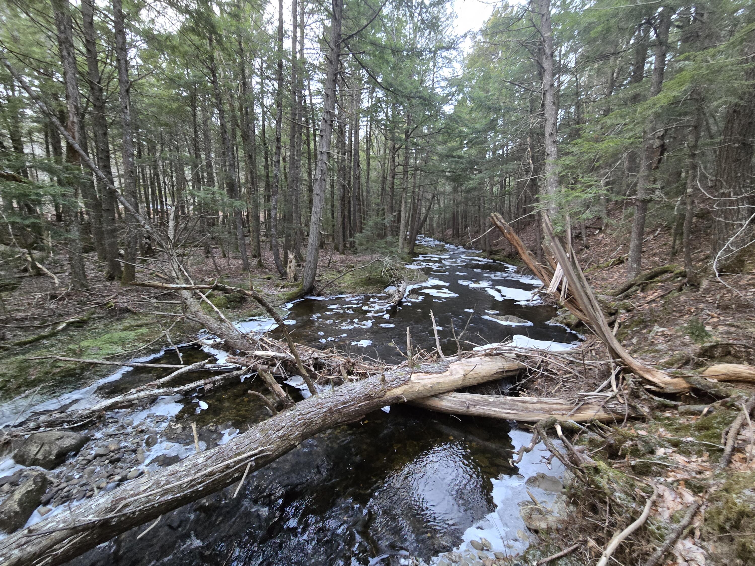 58 Beech Hill Pond Road Dedham ME 04429