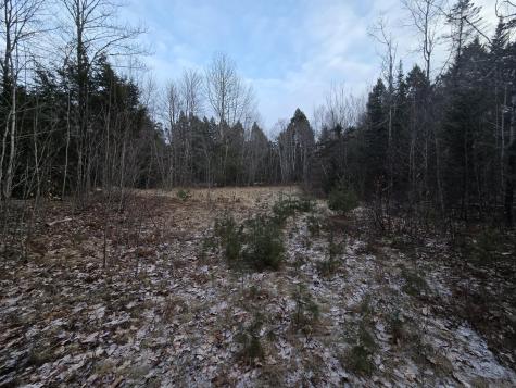 58 Beech Hill Pond Road Dedham ME 04429