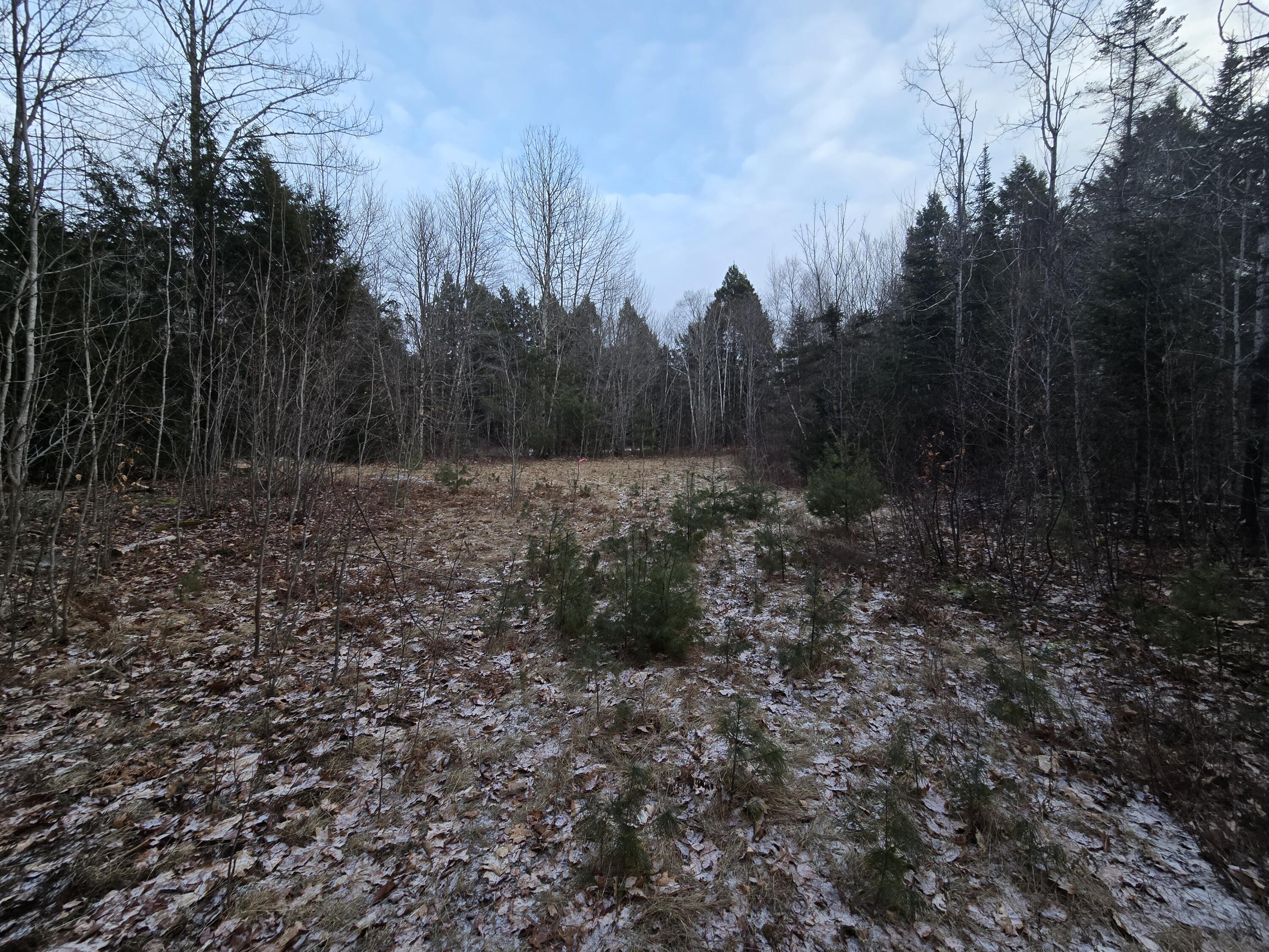 58 Beech Hill Pond Road Dedham ME 04429