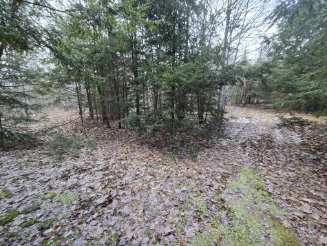 58 Beech Hill Pond Road Dedham ME 04429