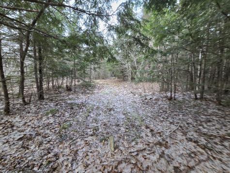 58 Beech Hill Pond Road Dedham ME 04429