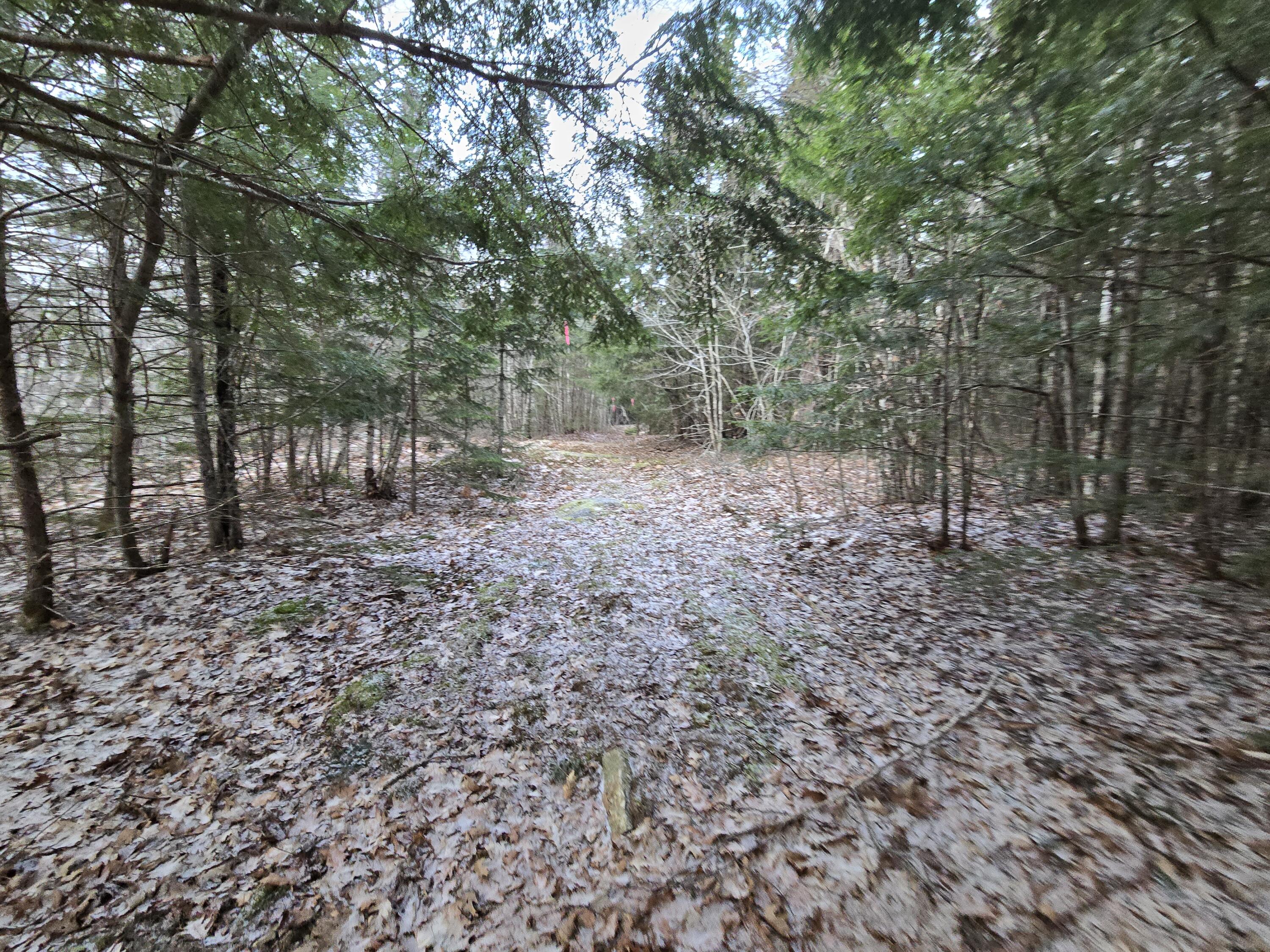 58 Beech Hill Pond Road Dedham ME 04429