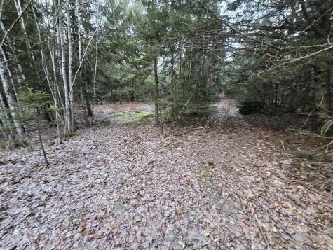 58 Beech Hill Pond Road Dedham ME 04429