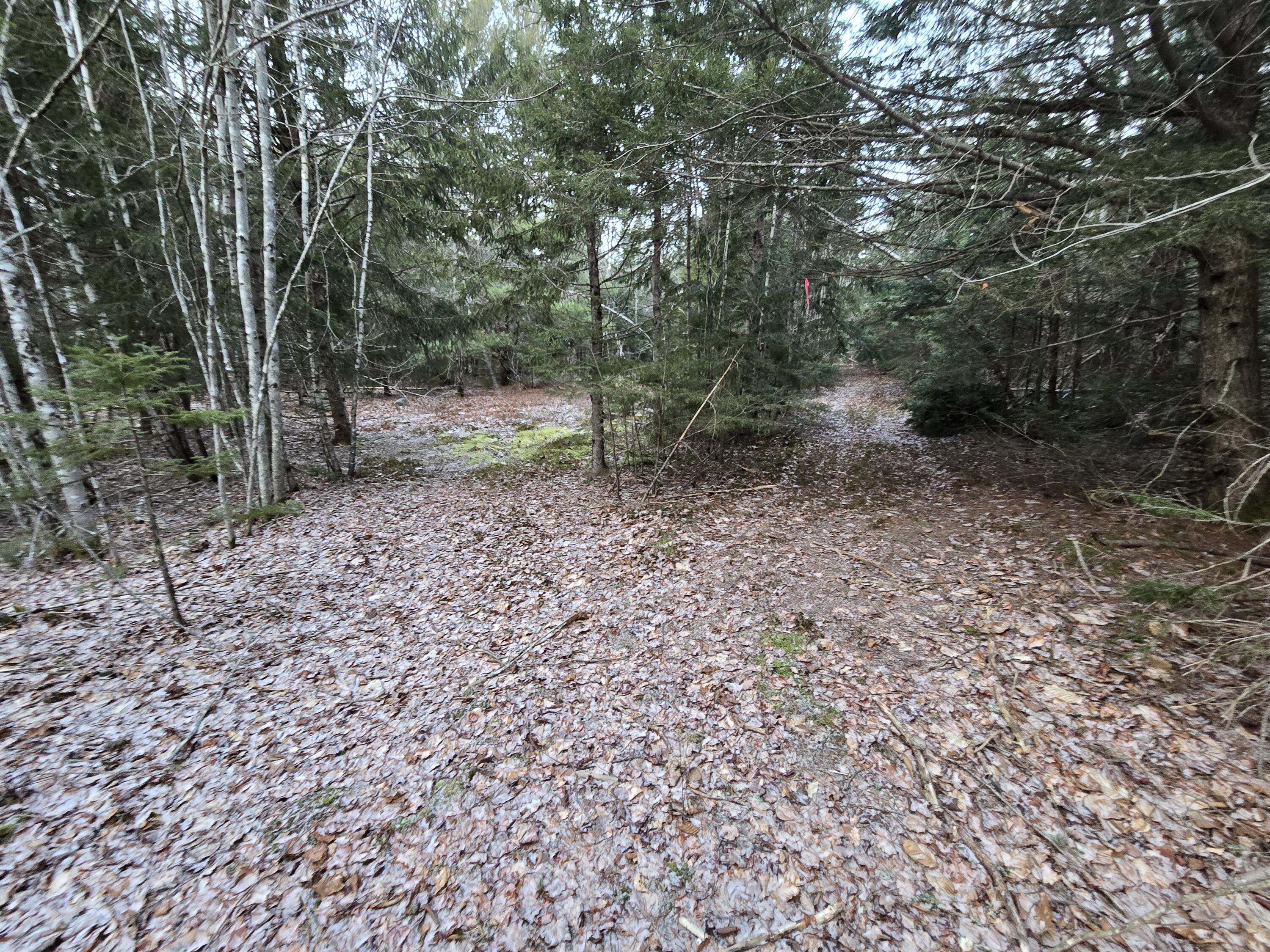 58 Beech Hill Pond Road Dedham ME 04429