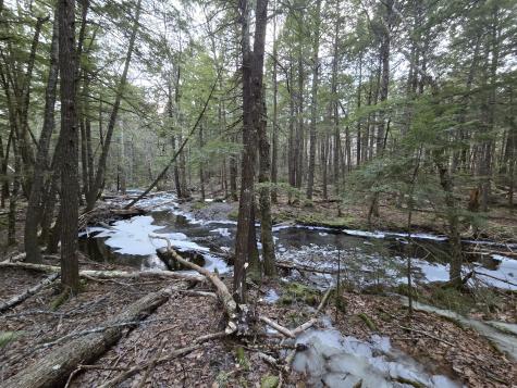 58 Beech Hill Pond Road Dedham ME 04429