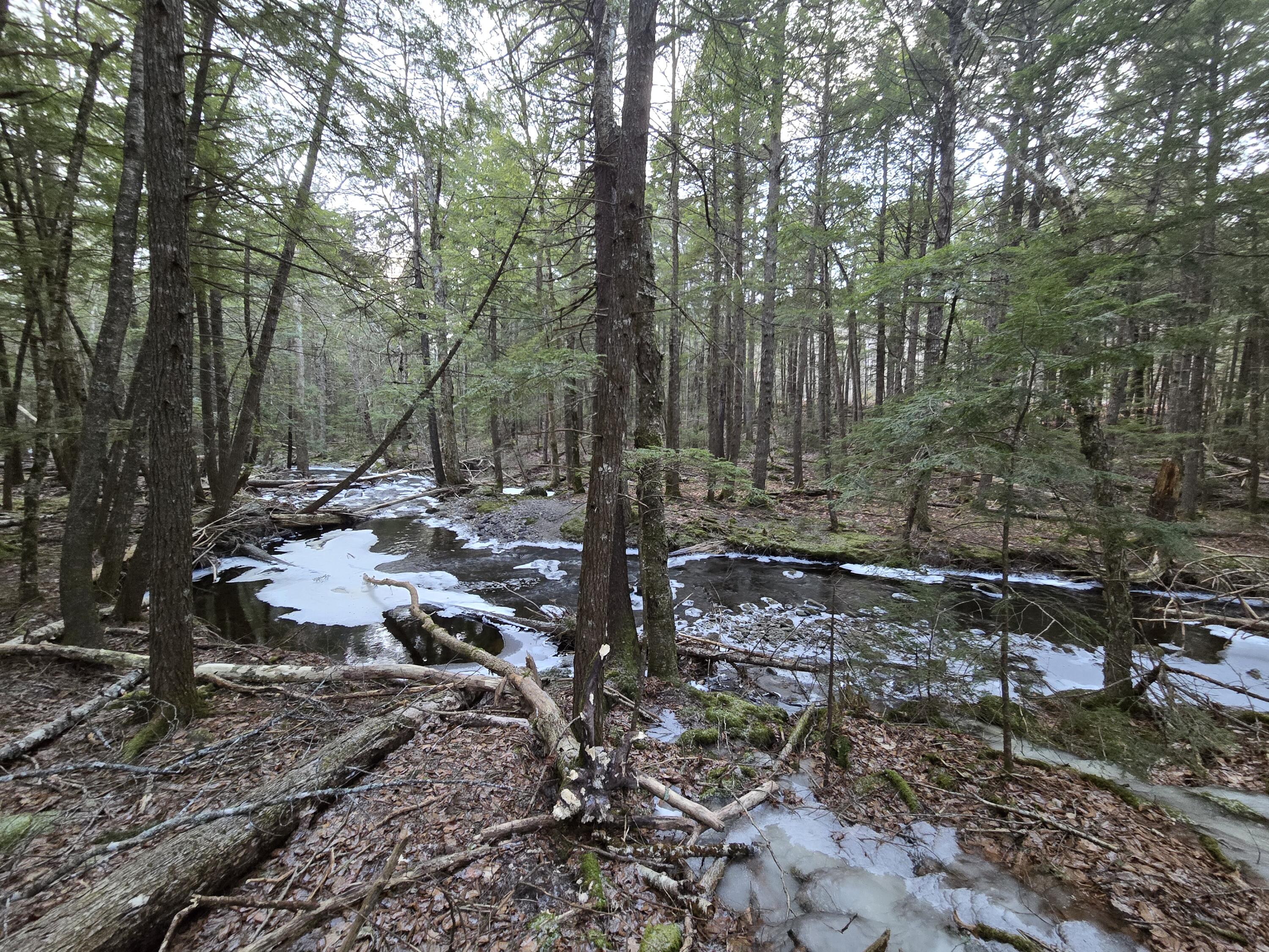 58 Beech Hill Pond Road Dedham ME 04429