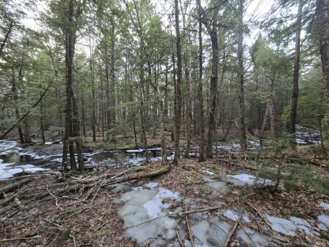 58 Beech Hill Pond Road Dedham ME 04429