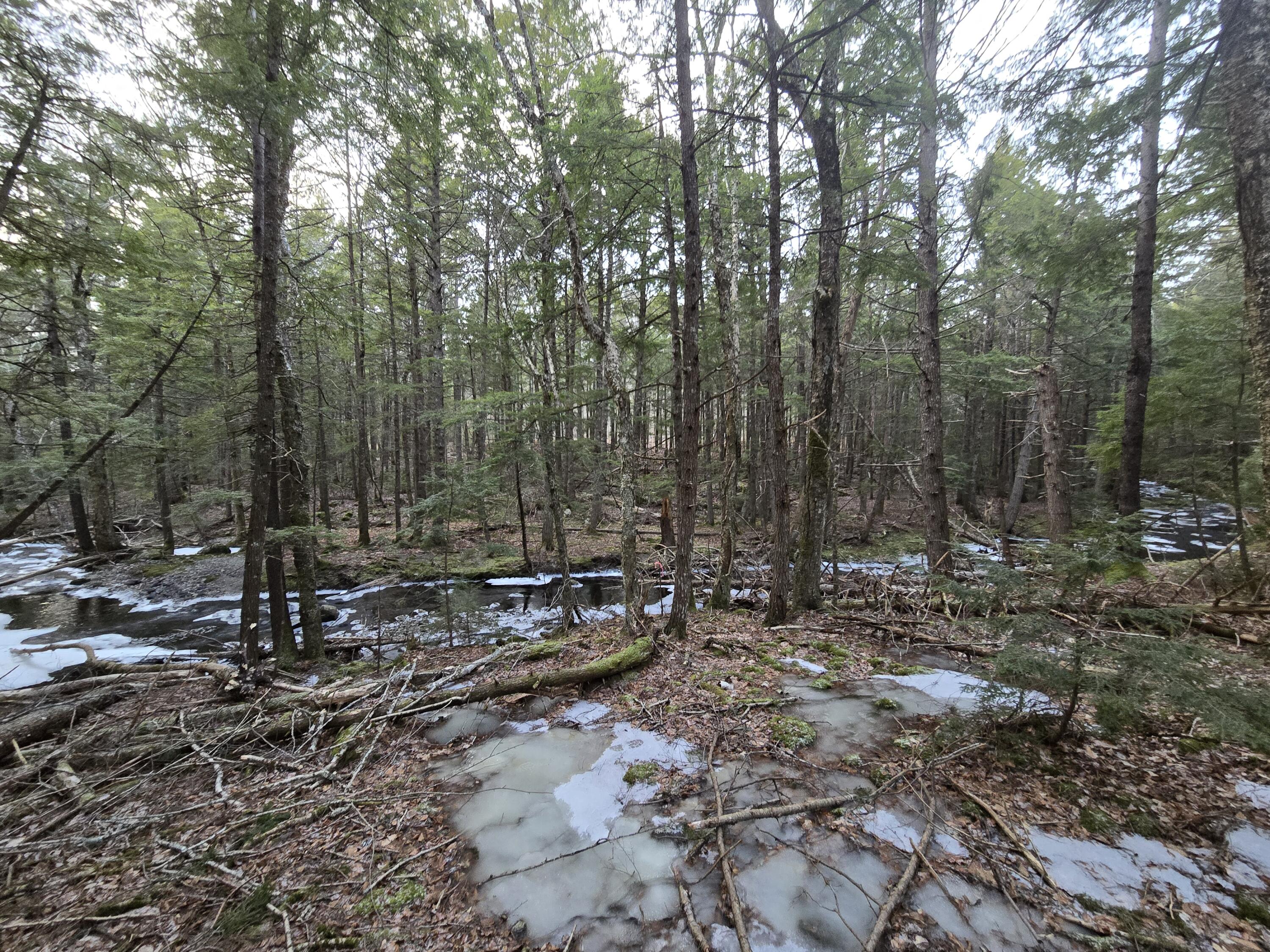 58 Beech Hill Pond Road Dedham ME 04429