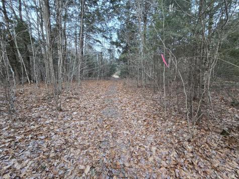 58 Beech Hill Pond Road Dedham ME 04429