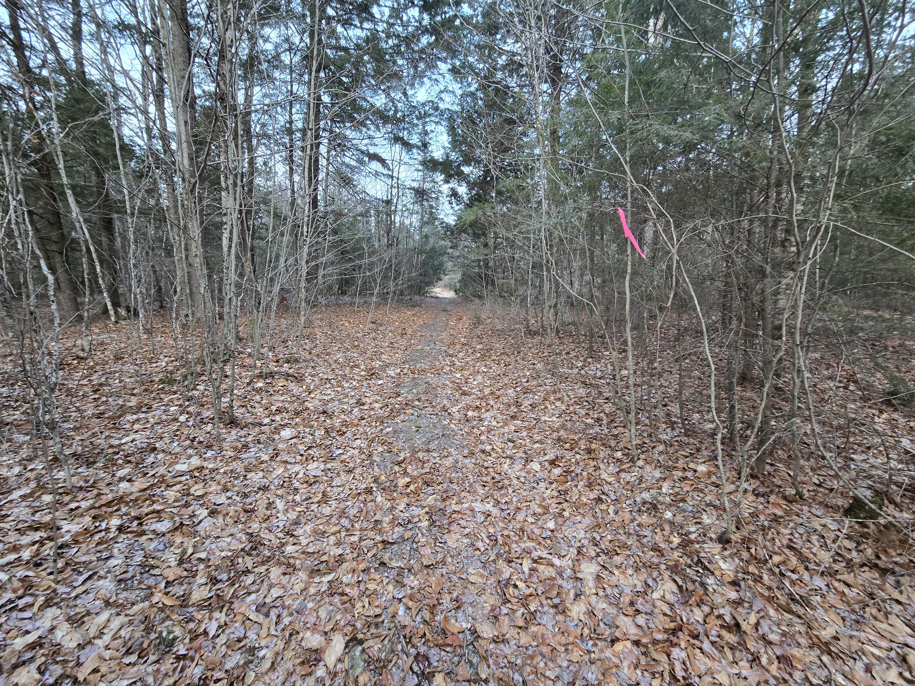 58 Beech Hill Pond Road Dedham ME 04429