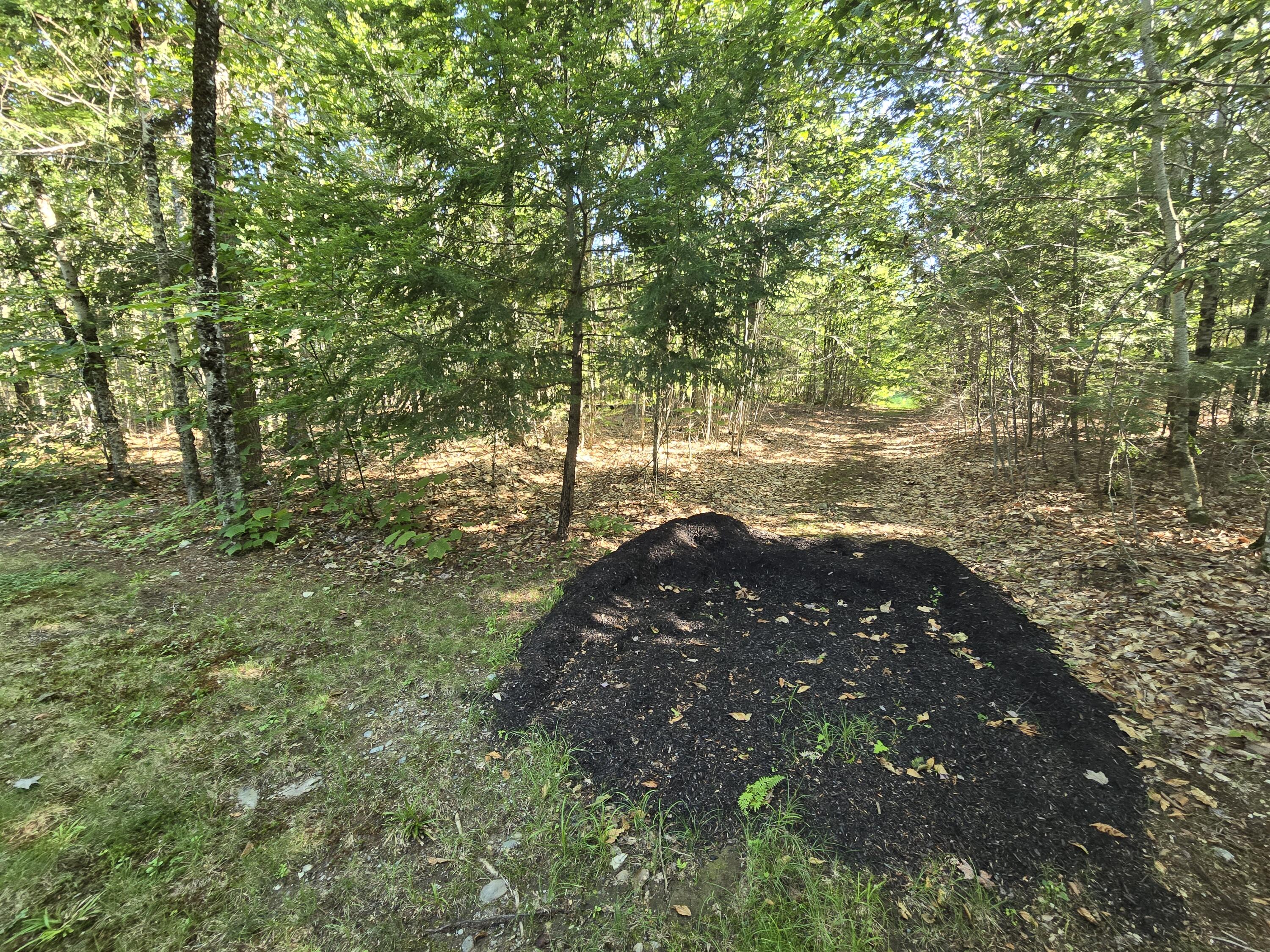 58 Beech Hill Pond Road Dedham ME 04429