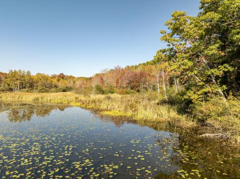 19 Lily Pond Drive Camden ME 04843