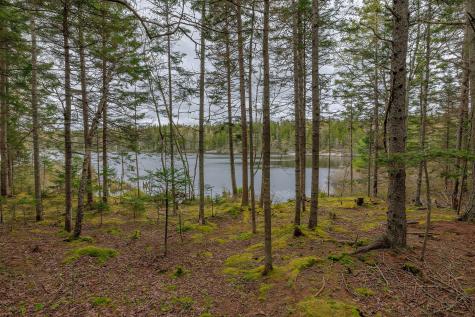 176 N Main Street Stonington ME 04681