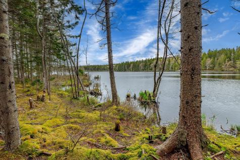 176 N Main Street Stonington ME 04681