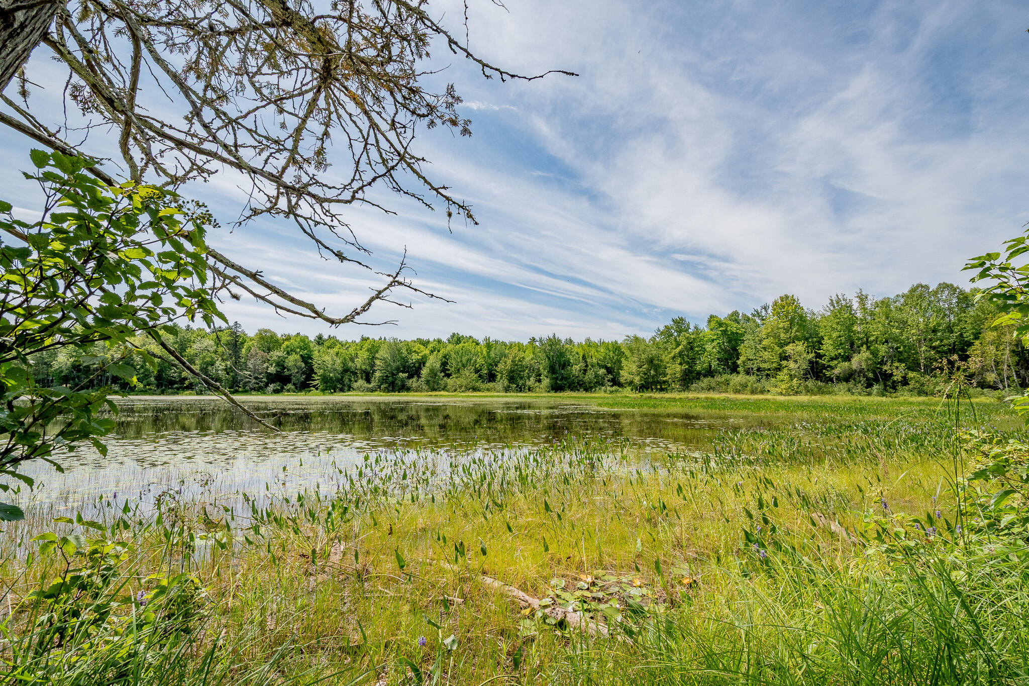 1 Sebec River Island Milo ME 04463