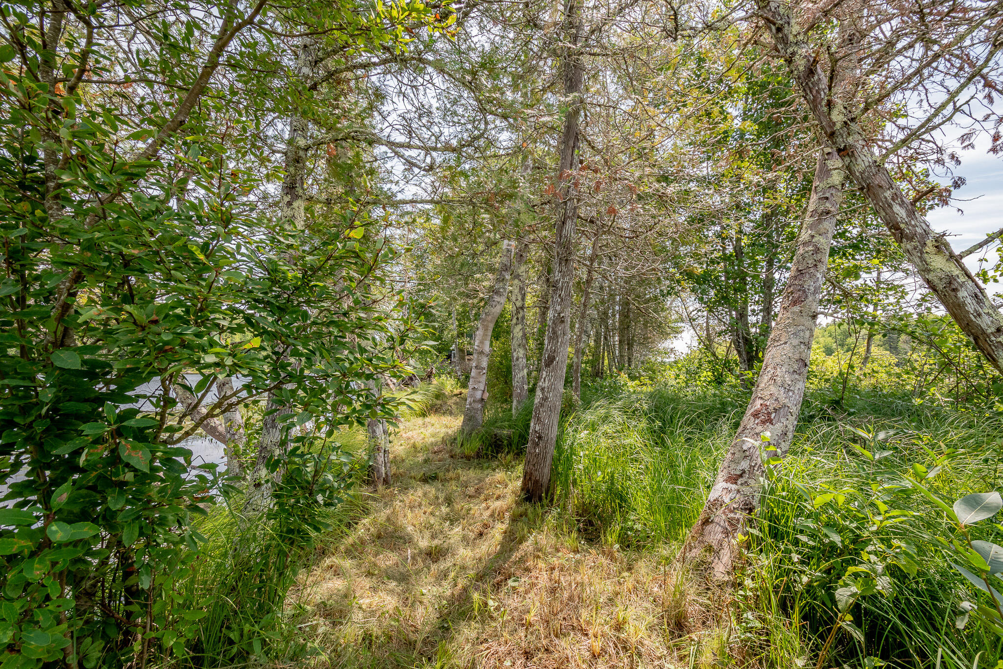 1 Sebec River Island Milo ME 04463