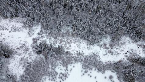 31 Mckenney Lane Harrington ME 04643