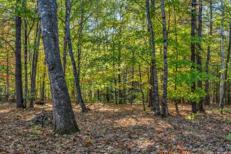 19 Birch Estates Rome ME 04963