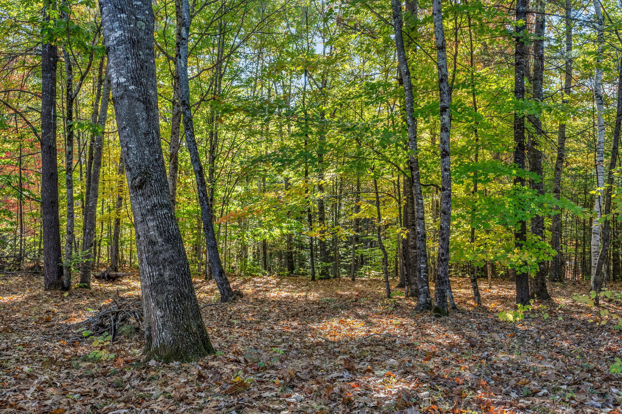 19 Birch Estates Rome ME 04963