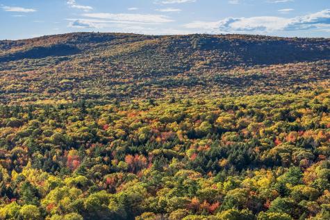 19 Birch Estates Rome ME 04963