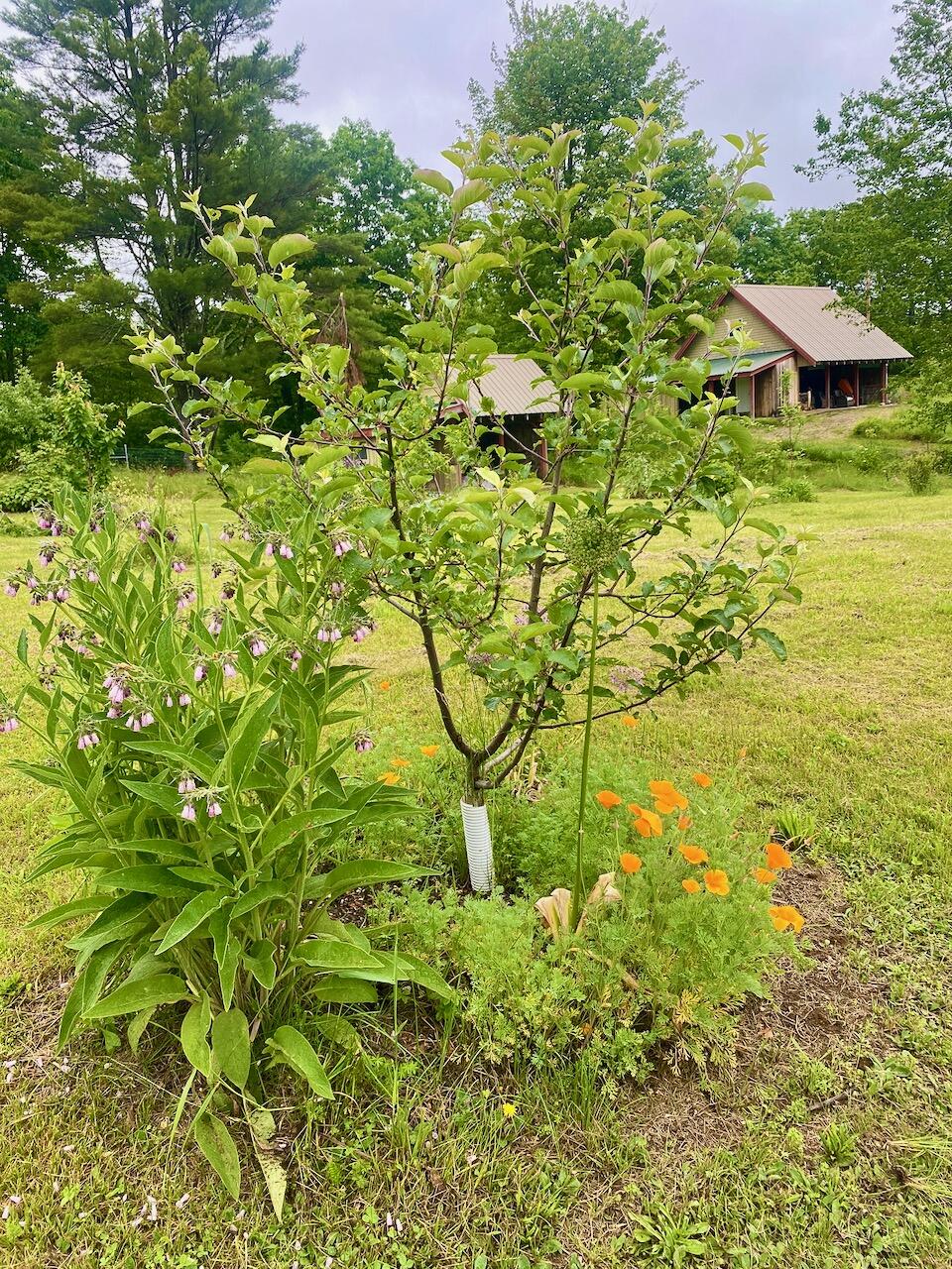 334 Johnson Road Auburn ME 04210