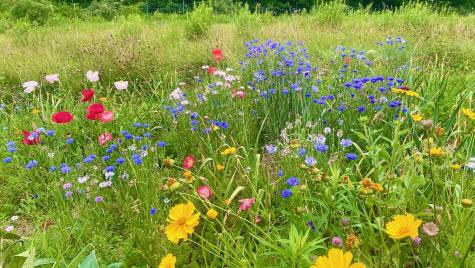 334 Johnson Road Auburn ME 04210