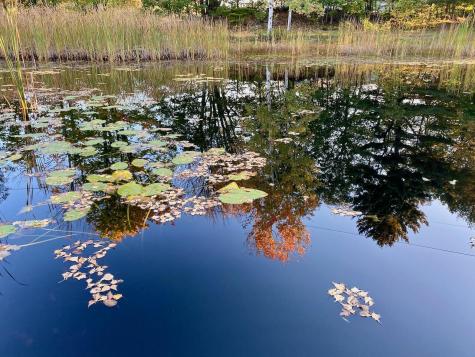 334 Johnson Road Auburn ME 04210