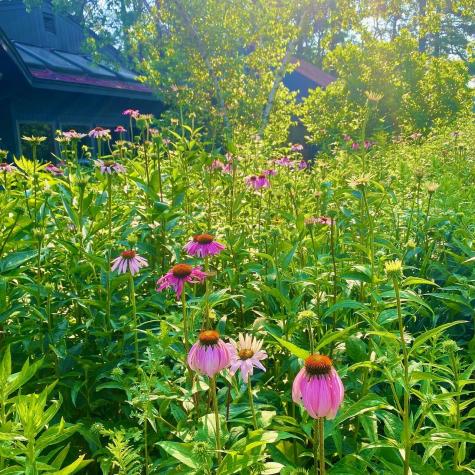 334 Johnson Road Auburn ME 04210